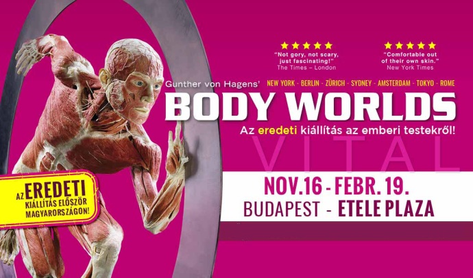 BODY WORLDS kiállítás - Budapest - Etele Páláza - Jegyfoglalás itt!